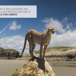 Non esperes a ver guepardos nas praias de Lugo para pechar a billa. Usa a auga con cabeza.