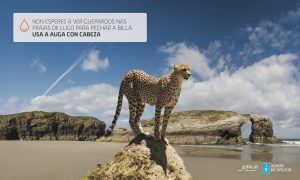 Non esperes a ver guepardos nas praias de Lugo para pechar a billa. Usa a auga con cabeza.
