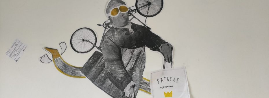 Avoa Pataqueira